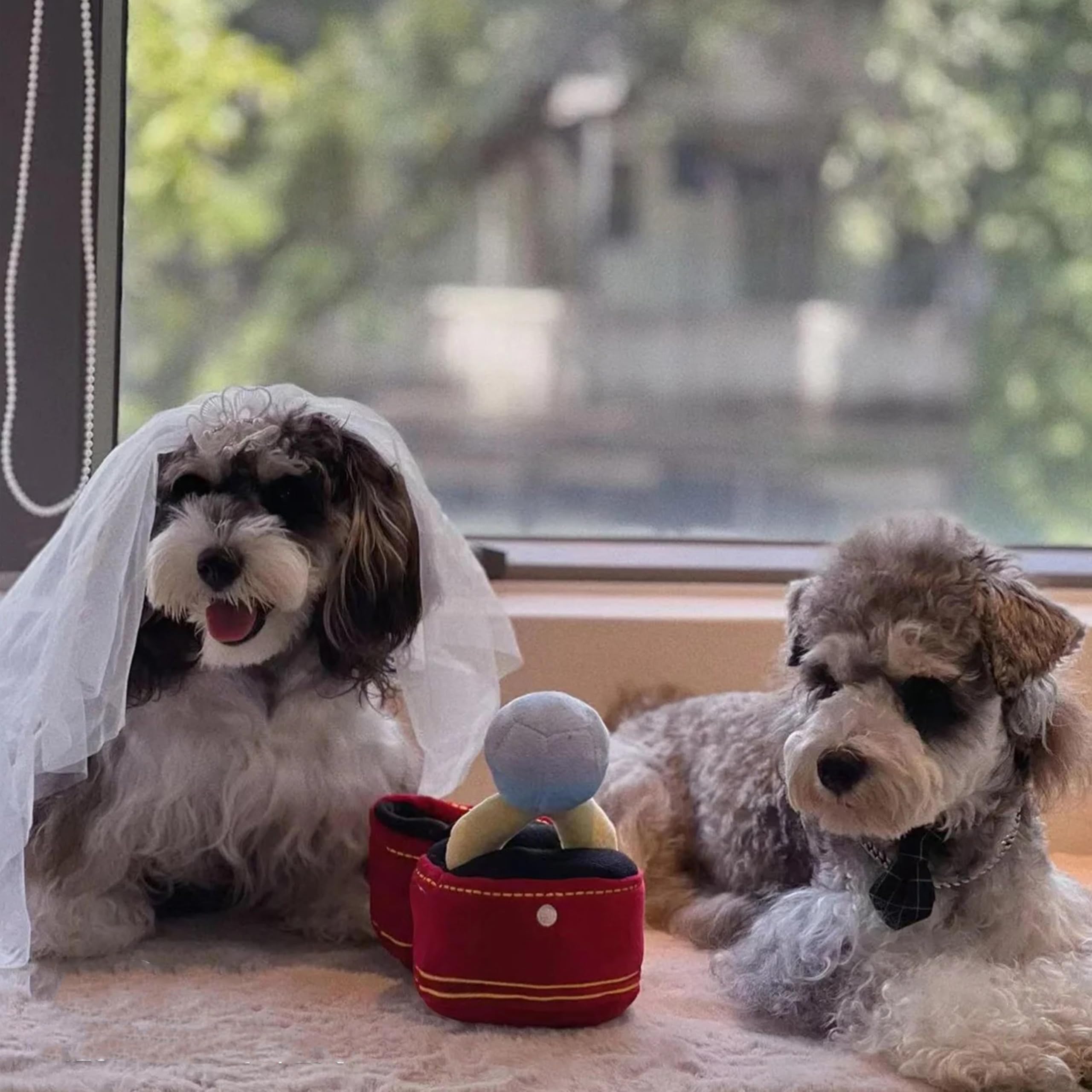 Amazon.co.jp: Mewcho 犬 ウェディングトイ 婚約 ぬいぐるみ リング